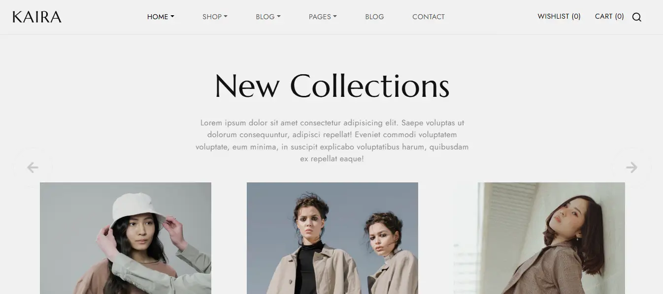10+ eCommerce Websites with HTML, CSS, and JavaScript - eCommerce Fashion Website