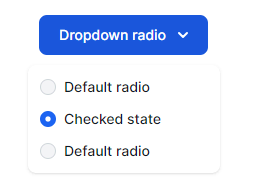 dropdown with radio