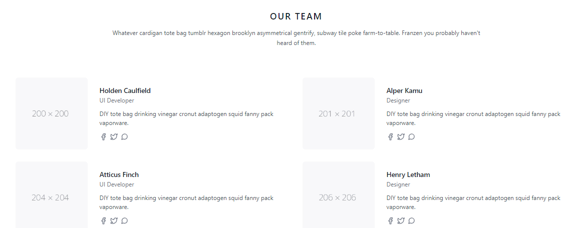 team section #12