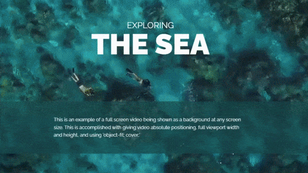 Create Full Screen Video with Text Overlay using HTML and CSS image.