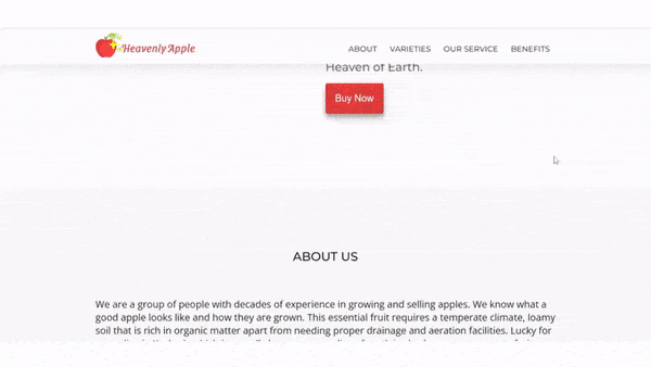 Fruit Shop Landing Page with HTML and CSS (Source code)