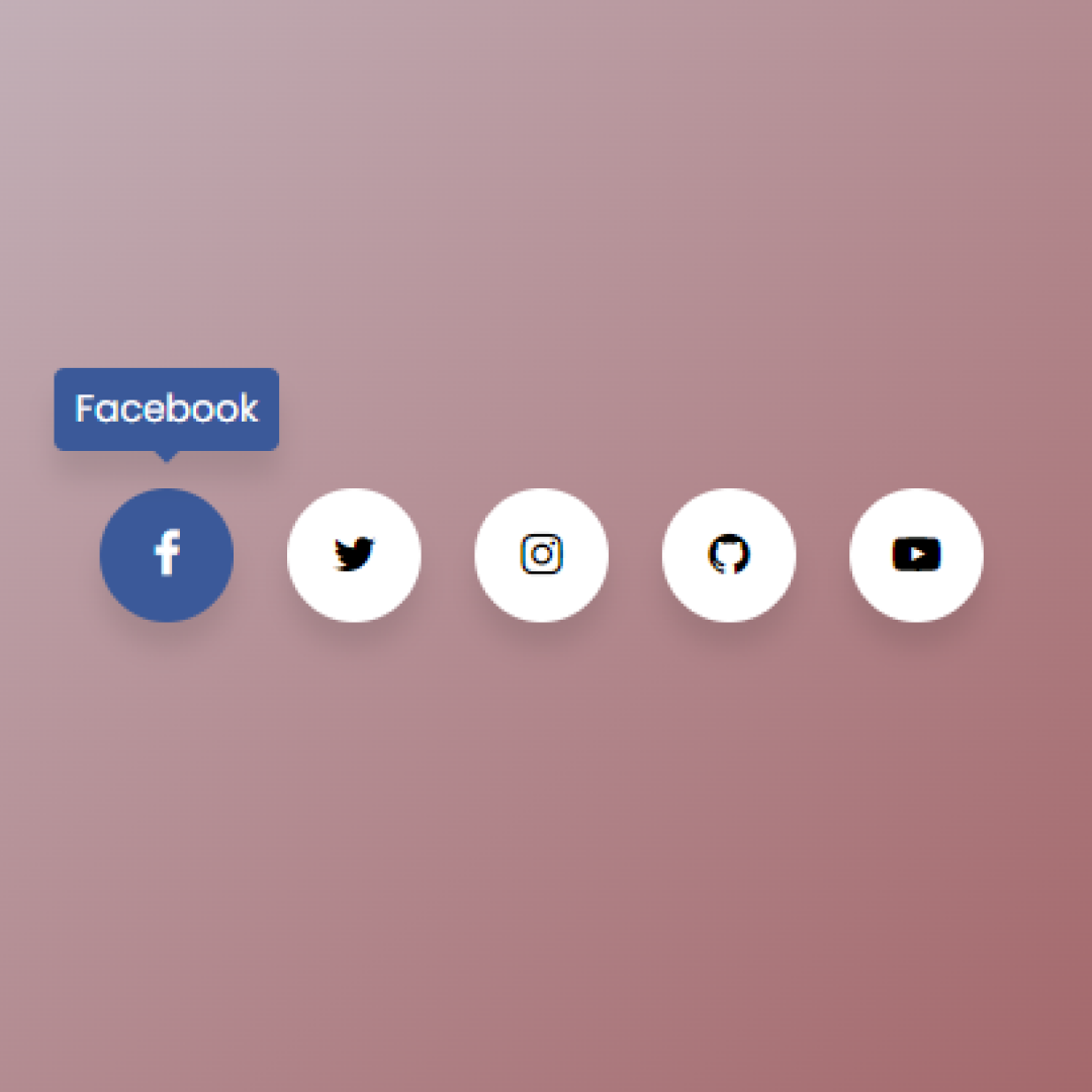 Collection of 100 HTML and CSS Projects for Beginners with Source Code - Social Media Icons