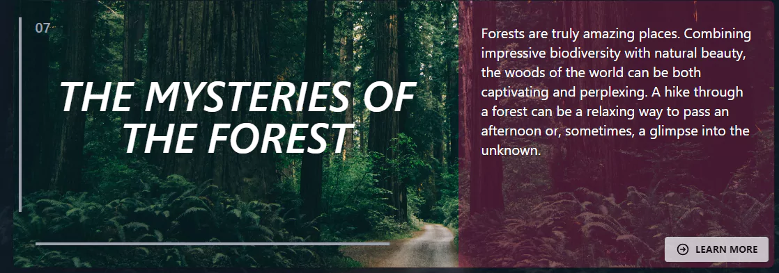 tailwind info card - forest